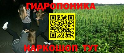 каннабис Будённовск