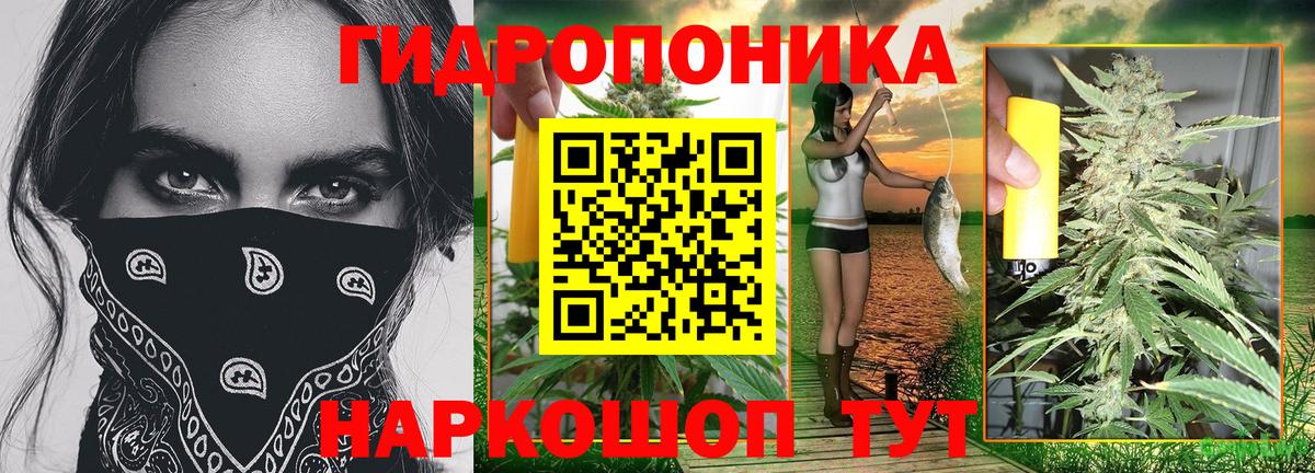Канабис Ganja  Бошки Шишки марихуана  Вход с VPN  Ржев  Каннабис марихуана 